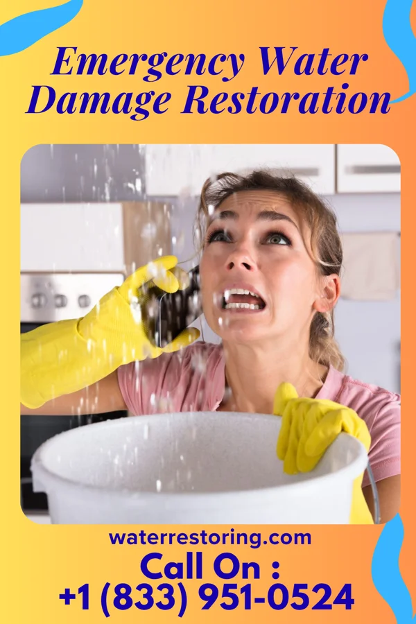 Emergency Water Damage Restoration in Castorland, NY
