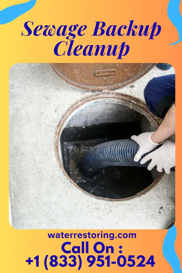 Sewage Backup Cleanup in Castorland, NY