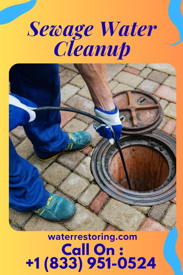 Sewage Water Cleanup in Castorland, NY